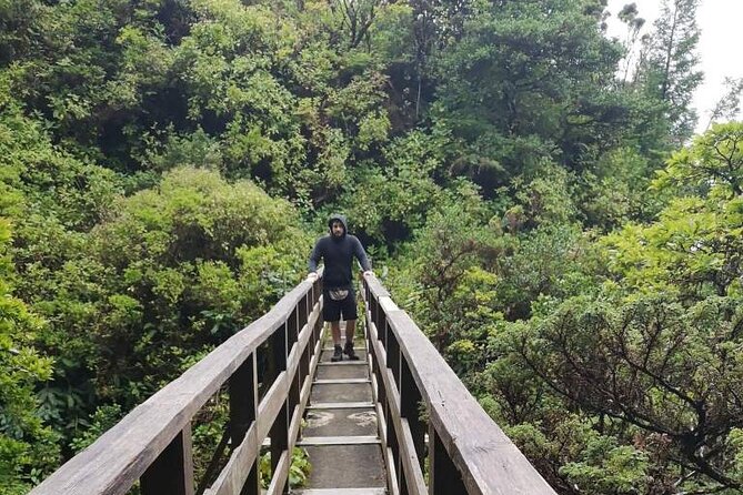 Private Hike Along the Levada - Good To Know