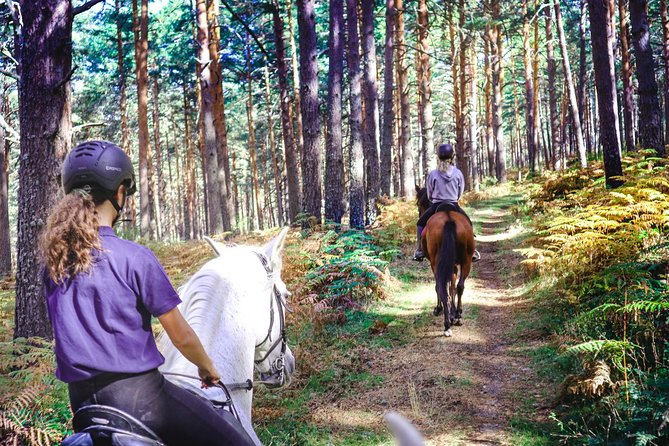 Private Horse Ride in Madrid Natural Park Reserve - Good To Know