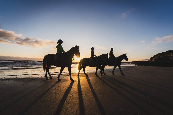 Private Horse Riding Experience in Kissamos Area - Key Points