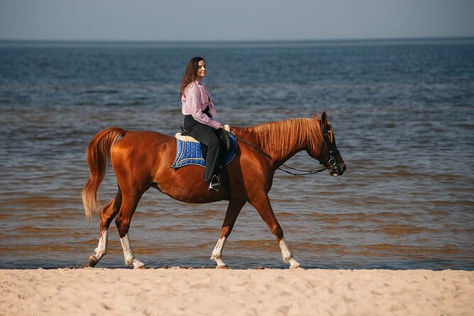 Private Horse Riding on the Beach in Riga - Good To Know
