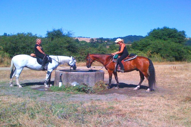 Private Horseback Riding and Muir Woods Adventure From San Francisco - Good To Know