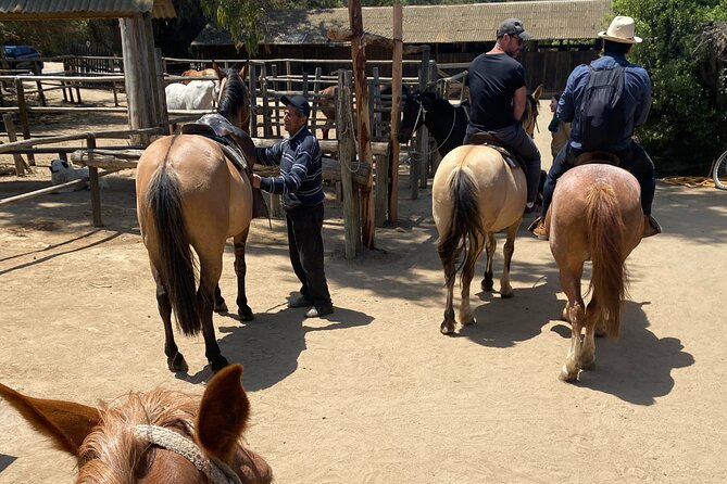 Private Horseback Riding to Cerro El Mollar and Cachagua - Good To Know