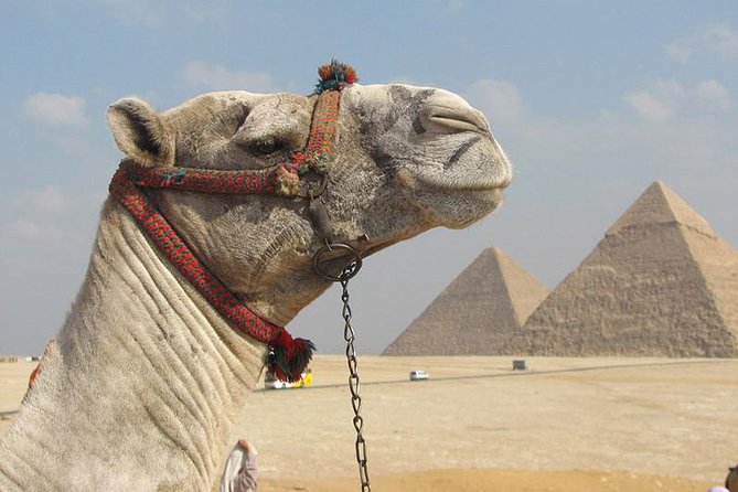 Private Journey :Grand Egyptian Museum & Giza Pyramids