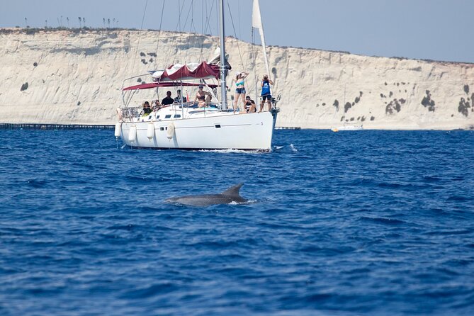 Private Marine Life Spotting - Dolphin Watching Ecomarine Malta - Good To Know