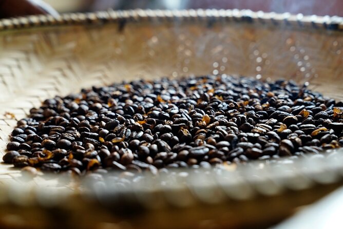 Private Meru Coffee Tour in Nkoaranga - Good To Know