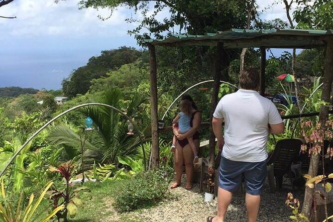 Private North Coast Day Trip - Key Points
