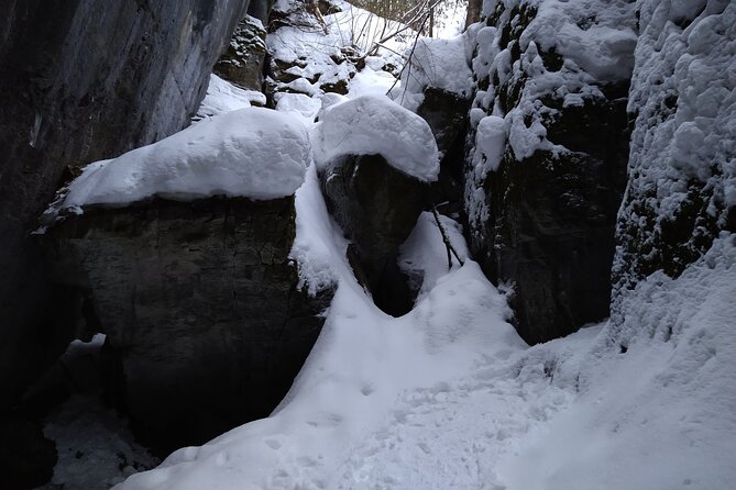 Private Nottawasaga Bluffs Caves Snowshoe, Collingwood/Creemore - Good To Know