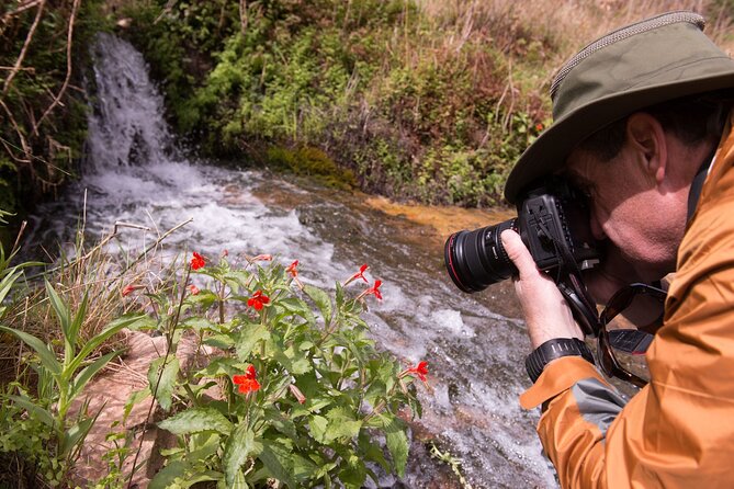 Private Photo Workshop and Sightseeing in Wasatch Mountains - Good To Know