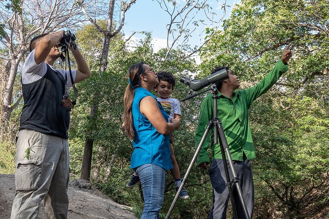 Private Rainforest Walk Through the Guanacaste National Park - About Your Stay