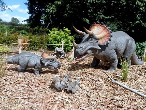 Private Return Transfer Thoiry Zoo Safari Review - Key Points