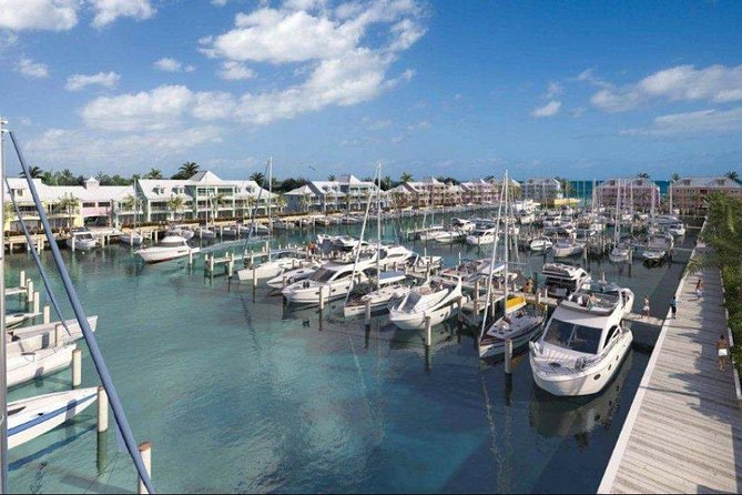 Private Roundtrip Minivan Airport Transfer to Palm Cay - Good To Know