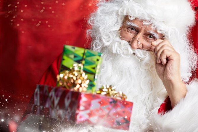 Private Santa Claus Village & Rovaniemi City Tour - Good To Know