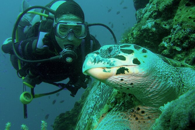 Private Scuba Diving Trips Muscat - Overview of Private Trips