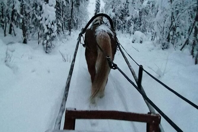 Private Sleigh Ride With Finnhorse Review - Key Points