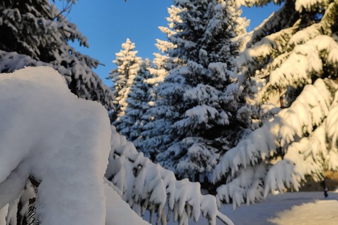 Private Snowshoeing Vitosha for 1 Day - Tour Overview