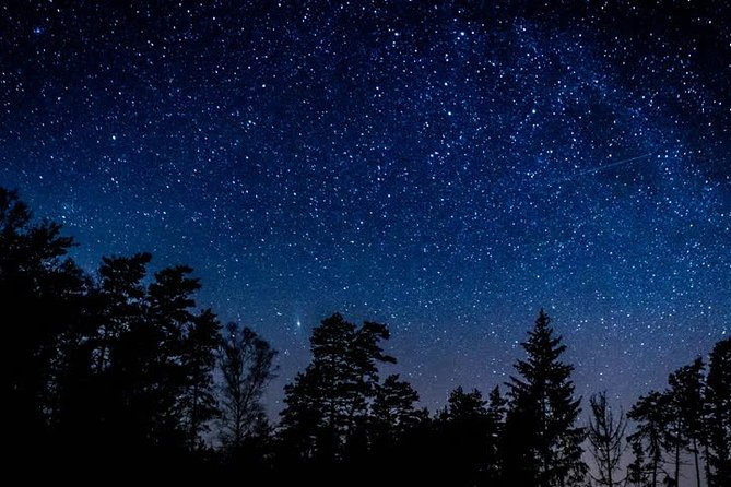 Private Stargazing - Sequoia National Park - Good To Know