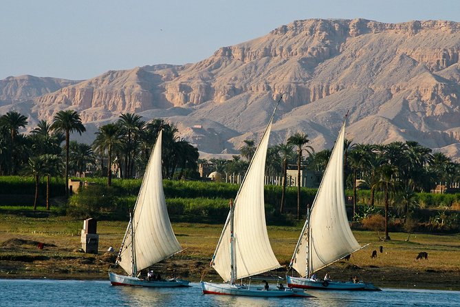 Private Sunset Felucca Tour in Luxor With Camel Ride and Lunch
