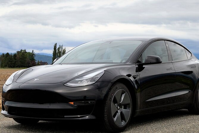 Private Tesla Transfer From Phoenix Airport to All Hotels - Good To Know