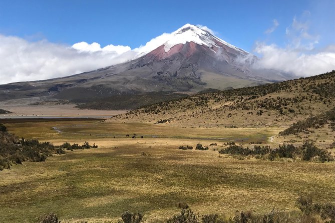 Private Tour Cotopaxi - About Your Stay