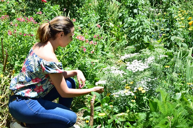 Private Tour: Medellins Flower Culture & the Silletero Tradition of Santa Elena - Good To Know