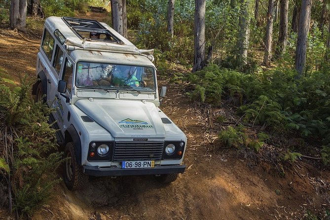 Private Tour: Nuns Valley & Sea Cliff - Half Day Jeep Tour - Good To Know