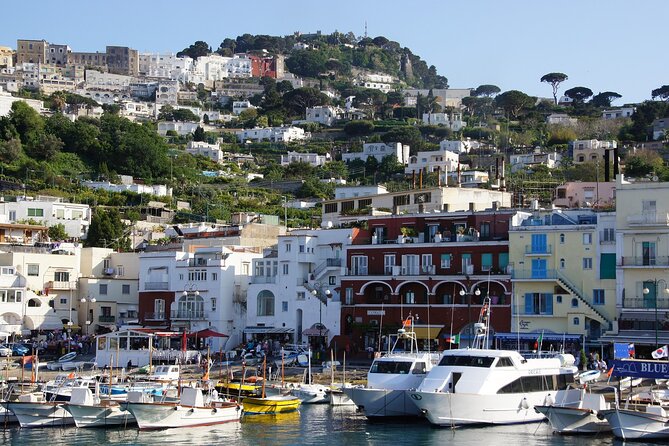 Private Tour of Capri & Anacapri With Scenic Shared Boat Ride - Tour Overview