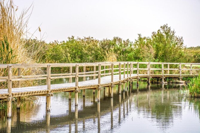 Private Tour of Desert Castles Eastern Jordan With Optional Azraq Wetland Visit - Good To Know