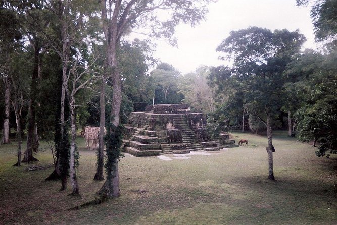 Private Tour of Uaxactún From Flores - About Your Stay