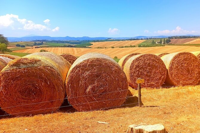 PRIVATE TOUR Sweet Hills of Chianti and San Gimignano With Lunch & 2 Tastings - Good To Know