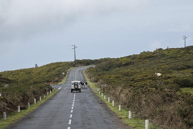 Private Tour: The Amazing West - Jeep Safari Tour - Full Day - Overview