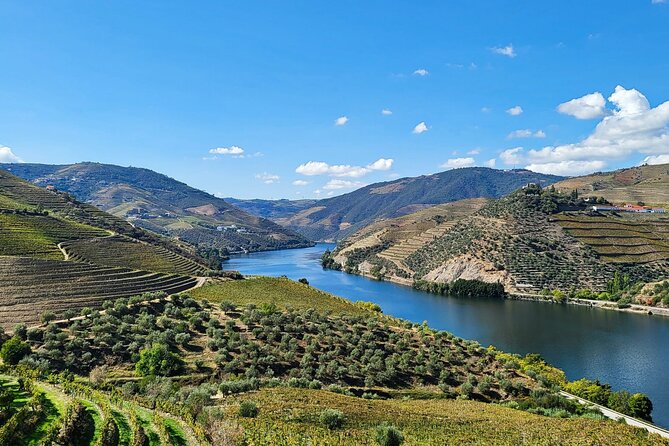 Private Tour Through the Douro Valley (Wineries Boat) - Good To Know