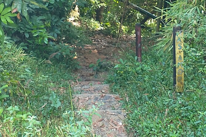 Private Tour to Pristine Swimming Hole In Puerto Rico Jungle - Tour Overview