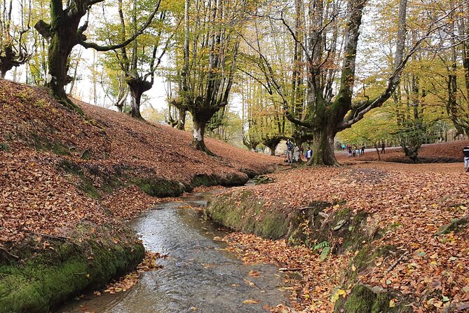 Private Tour Visiting Villages, Forests and Valleys in Biscay - Overview of the Tour