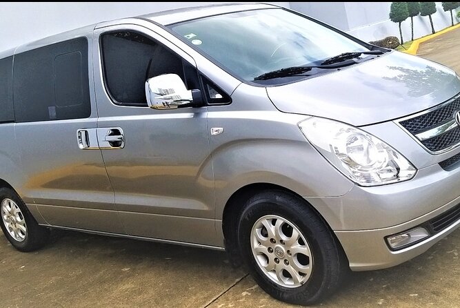 Private Transfer From Punta Cana Airport to Boca Chica and Santo Domingo Airport - Overview of the Private Transfer