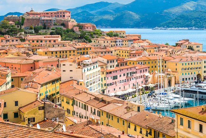 Private Transfer From Santandrea to Marina Di Campo (Eba) Airport - Key Points