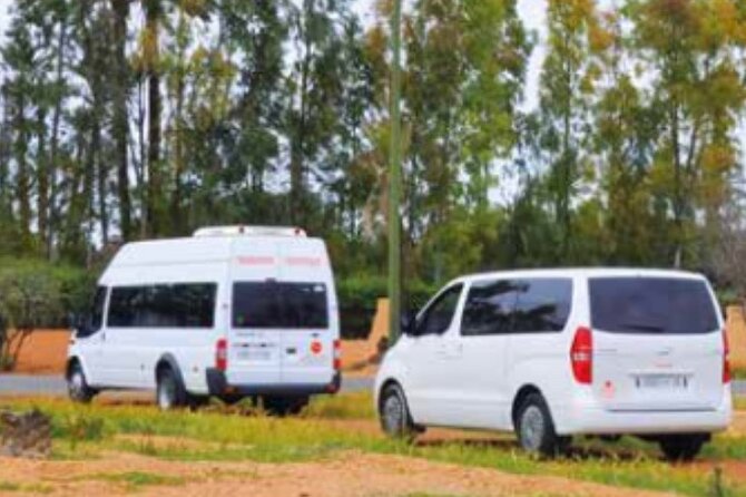 Private Transfer to Tangier City From Airport or Vice Versa - Meeting and Pickup Process
