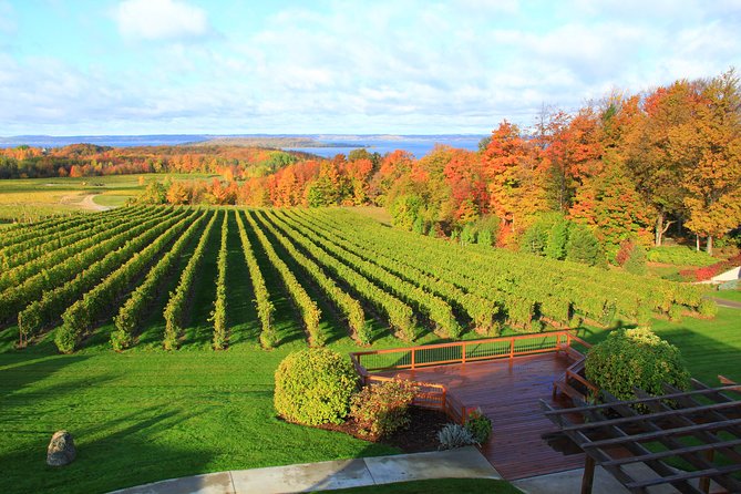 Private Traverse City Winery or Brewery Tour - Tour Overview