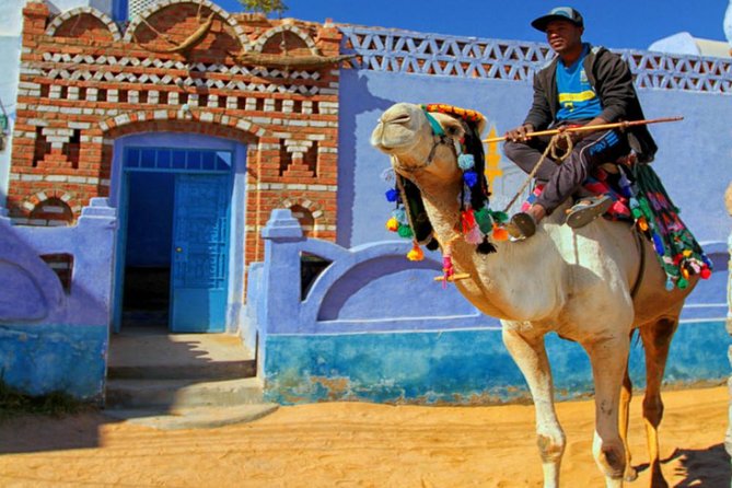 Private Trip to the Nubian Village by Motorboat in Aswan - Overview of the Experience