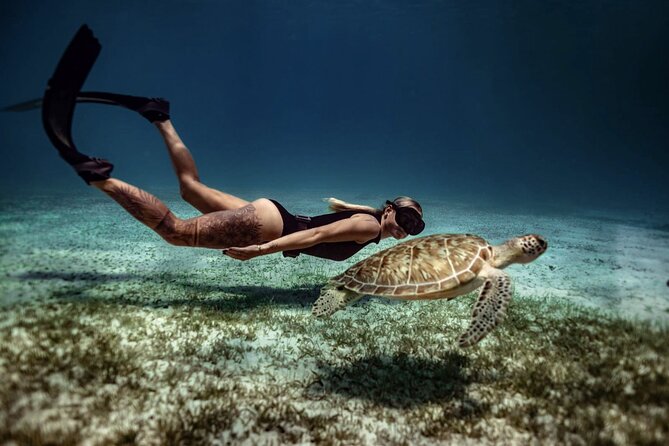 Private Turtle Spotting Snorkeling Excursion in Aruba - Good To Know