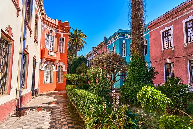 Private Walking Tour to Barrio Yungay Santiago - Good To Know