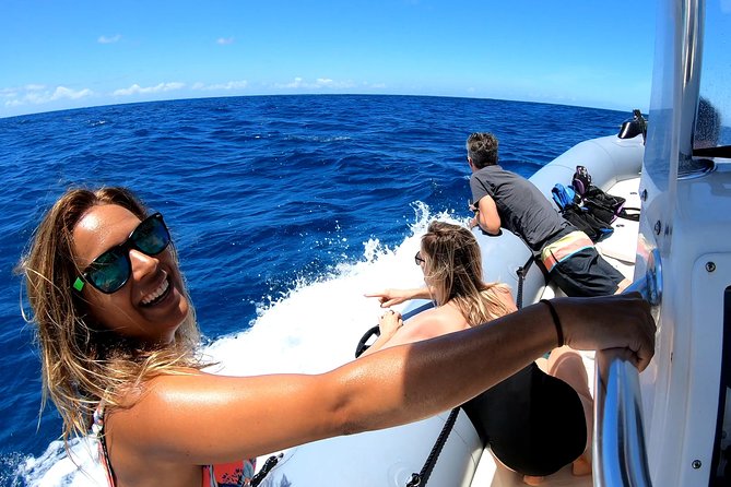 Private Whale Watching Adventure - Good To Know