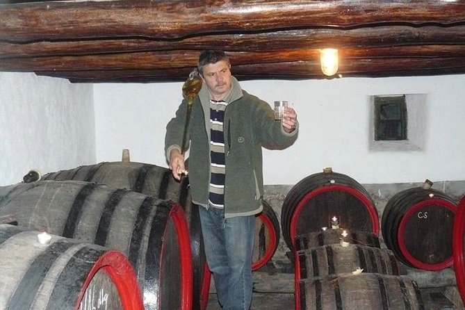 Private Wine Tasting and Sightseeing Review - Key Points