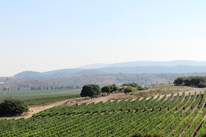 Private Wine Tour of Northern Israel - Good To Know
