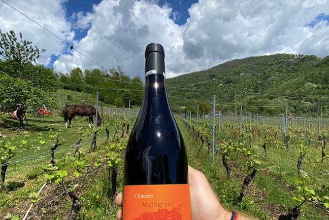 Private Wine Tour With Sommelier - the Elegance of Garfagnana - Good To Know