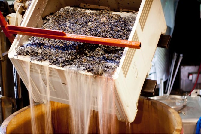 Private Wine Tour With Tastings From Eugene - Good To Know