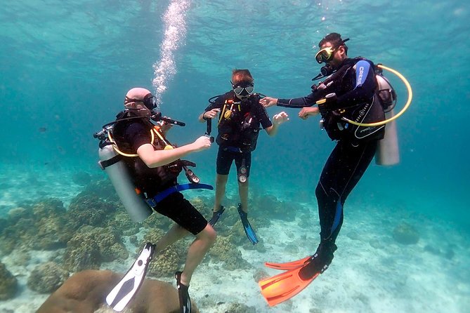 Professional Scuba Diving Full Day Trip With Transfer – Hurghada - Good To Know