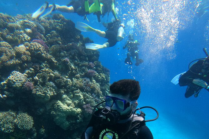 Professional Scuba Diving Trip in Hurghada With Lunch - Overview of the Diving Trip