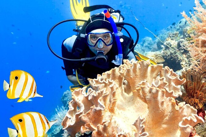 Professionals Scuba Diving 2 Stops Full Day Sea Trip - Hurghada - Overview of the Scuba Diving Trip