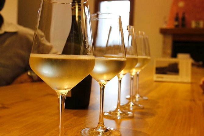 Prosecco Region Cellar Visit, Wine Tasting, Palladian Villa, Medieval Village - Key Points