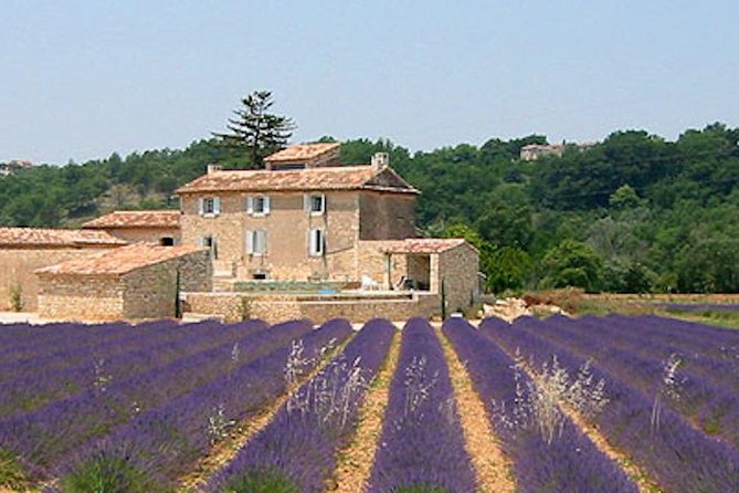 Provence and Lavender - Private & Guided Full Day Tour - Good To Know